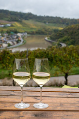 Glasses of white dry riesling wine made on Moselle river valley in Germany or Luxembourg, view on terraced vineyards