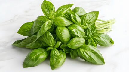 Obraz premium Harvesting fresh basil leaves outdoor garden food photography natural light close-up culinary inspiration