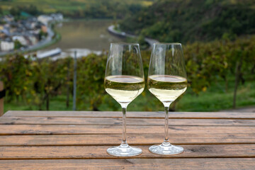 Glasses of white dry riesling wine made on Moselle river valley in Germany or Luxembourg, view on terraced vineyards