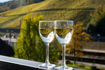 Glasses of white dry riesling wine made on Moselle river valley in Germany or Luxembourg, view on terraced vineyards