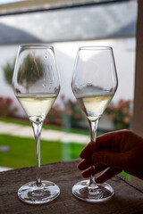 Tasting sparkling white wine, traditional champagne method making of cremant in caves on Moselle river valley in Luxembourg, glass of wine