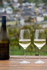 Glasses of white dry riesling wine made on Moselle river valley in Germany or Luxembourg, view on terraced vineyards