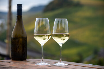 Glasses of white dry riesling wine made on Moselle river valley in Germany or Luxembourg, view on terraced vineyards