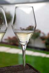 Tasting sparkling white wine, traditional champagne method making of cremant in caves on Moselle river valley in Luxembourg, glass of wine