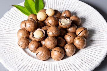 Australian Queensland macadamia nuts, or bush, maroochi, bauple nut, with sawn nutshell, fresh harvest