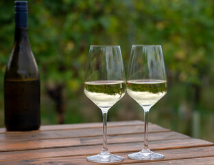 Glasses of white dry riesling wine made on Moselle river valley in Germany or Luxembourg, view on terraced vineyards