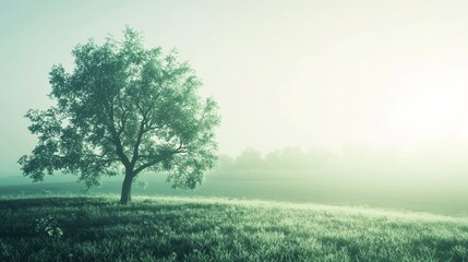 Obraz premium Serene landscape with a lone tree at dawn.