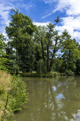 Park with trees and lake. A beautiful park on a sunny summer day. Blue sky with white clouds. Lake, trees on the shore around the lake.