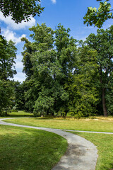 Park on a sunny day. Footpath in the park. A walk in the park, outdoor activities. Sunny day, blue sky over the park, trees, grass.