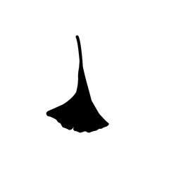 Fototapeta premium Ginkgo Biloba Leaf Silhouette 