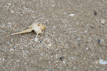 Sandy beach image at Hua Hin District, Prachuap Khiri Khan Province, Thailand for background.