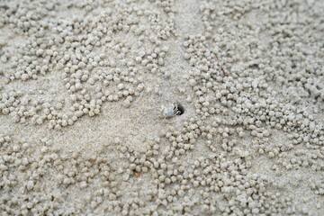 Sandy beach image at Hua Hin District, Prachuap Khiri Khan Province, Thailand for background.