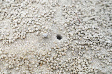 Sandy beach image at Hua Hin District, Prachuap Khiri Khan Province, Thailand for background.