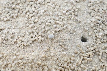 Sandy beach image at Hua Hin District, Prachuap Khiri Khan Province, Thailand for background.