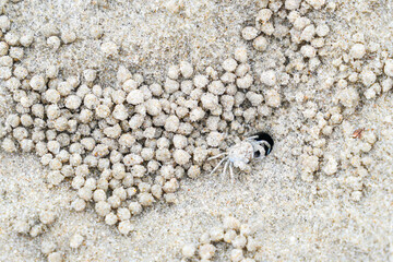 Sandy beach image at Hua Hin District, Prachuap Khiri Khan Province, Thailand for background.