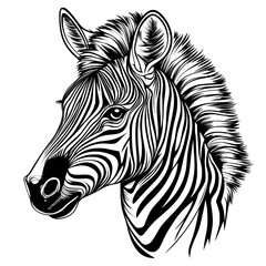 Fototapeta na wymiar Zebra Coloring Page for Coloring Book. Black and White Illustration