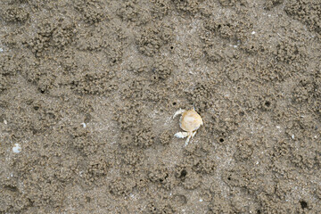 Sandy beach image at Hua Hin District, Prachuap Khiri Khan Province, Thailand for background.