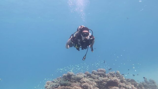 Slow motion shot of a scuba diver giving the okay sign whilst in the Red Sea