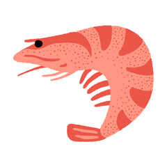 Fototapeta premium Shrimp vector illustration