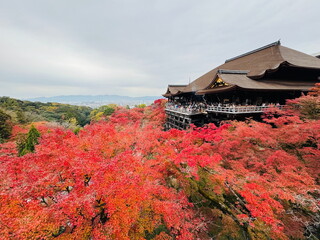 Autumn Beauty at Kiyomizu-dera temple: A Stunning Kyoto View with Japanese Tradition