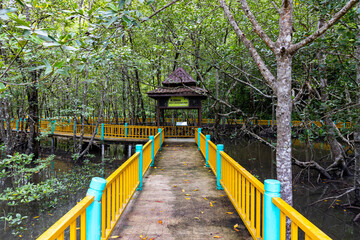 Walkway through the Mangroves forest in Kilim Geoforest Park in Pulau Langkawi, Malaysia.