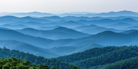 Mountainous region with an old woodland 