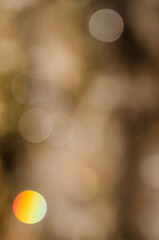 Abstract image formed by the reflection of drops of pine sap illuminated by the sun. Natural...