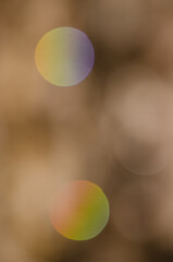 Abstract image formed by the reflection of drops of pine sap illuminated by the sun. Natural Reserve of Inagua. Tejeda. Gran Canaria. Canary Islands. Spain.