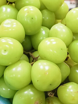 The popular Korean grape Shine Muscat on the supermarket counter. A bunch of green grapes in a package. A diploid grape variety.