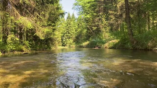 River flowing in the forest, moss covered rocks. Germany Bavaria