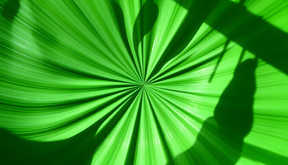 Obraz premium Abstract Radial Green Background with Circular Gradient Effect