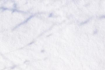 Shadows of branches on white snow surface