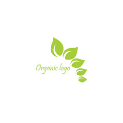 organic logo design and green leaf design