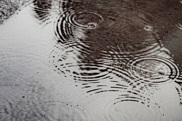 雨_水たまりに波紋