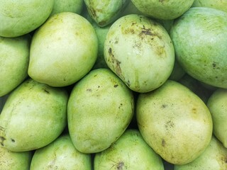 Mangoes fruit shot in close up