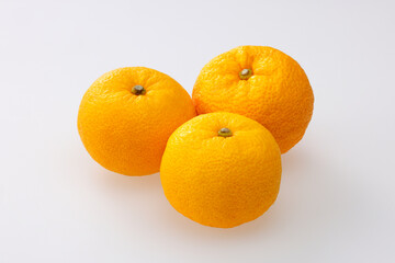 柚子　Yuzu