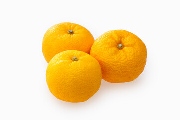 柚子　Yuzu