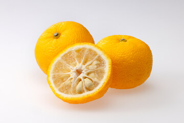 柚子　Yuzu