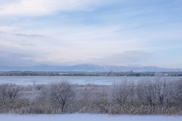 12月朝の石狩川河畔　霧氷に覆われた草木