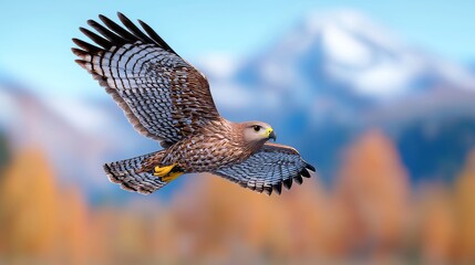 Fototapeta premium A vivid bird gliding through the sky highlights its colorful feathers against a blurred autumn scene, ideal for nature-focused projects, educational materials, or wildlife conservation efforts.