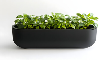Fototapeta premium Modern and Efficient Pot Design