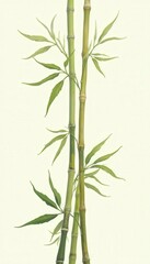 Fototapeta premium Digital Painting of Green Bamboo Stalks with Vibrant Leaves on Soft White Background