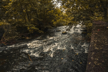 Rushing streams of a small river flow through natural obstacles