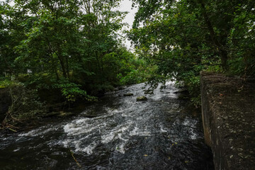 Rushing streams of a small river flow through natural obstacles