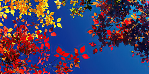 Red, Orange, and Yellow Autumn Leaves against Blue Sky
