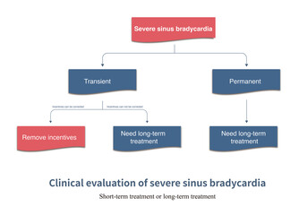 Obraz premium Some patients with severe sinus bradycardia have triggers that can disappear after treatment, while others are permanent and require treatment with ventricular pacemakers. 