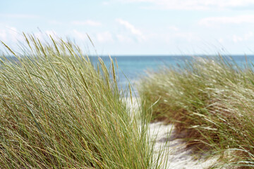 Strand an der Ostsee 