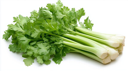 celery stick