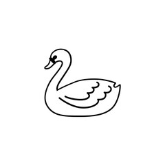 Swan
