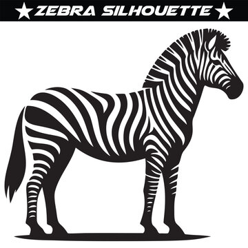 Animal zebra black and white stripes design, eps 10
